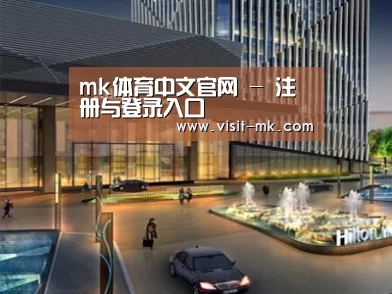 案例展示二