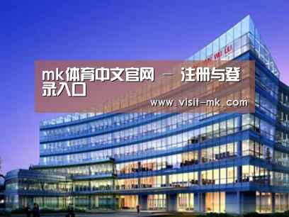 案例展示五
