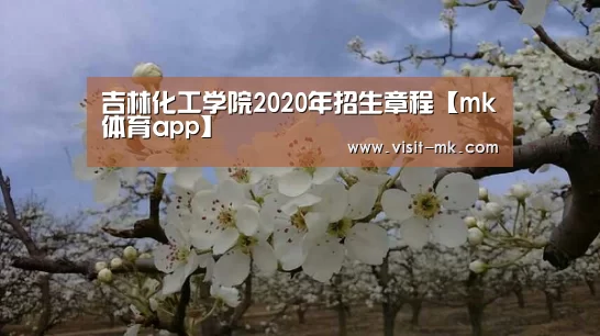 吉林化工学院2020年招生章程【mk体育app】(图2) mk体育下载