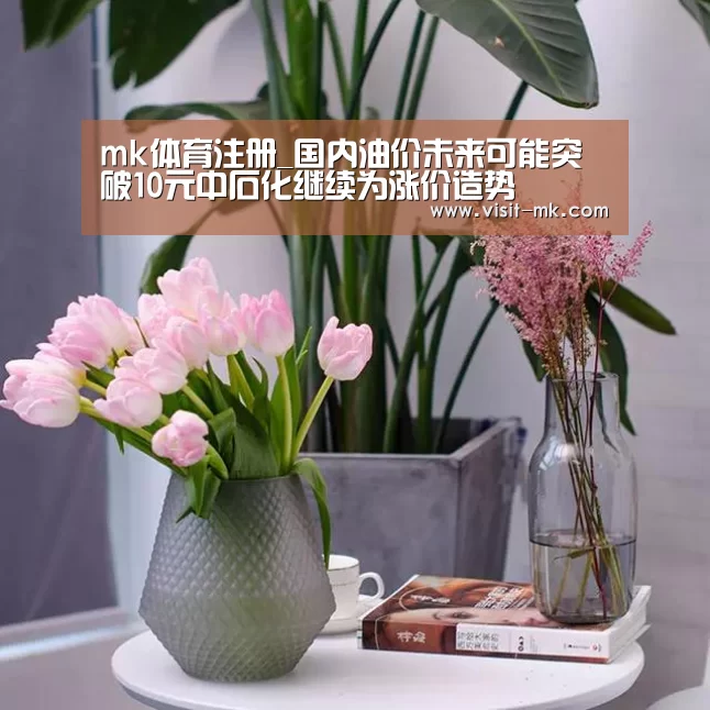 mk体育注册_国内油价未来可能突破10元中石化继续为涨价造势(图2) mk体育下载